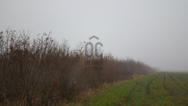 Eladó mezogazdasagi ingatlan, Márokpapin 5.8 M Ft