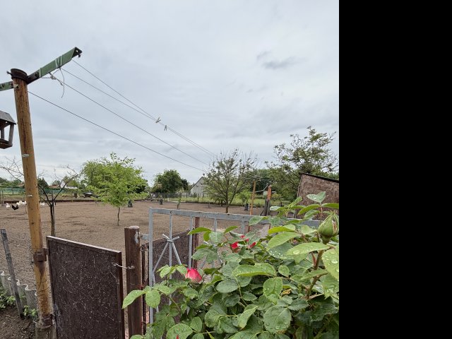 Eladó családi ház, Bordányon 35.9 M Ft, 1+2 szobás