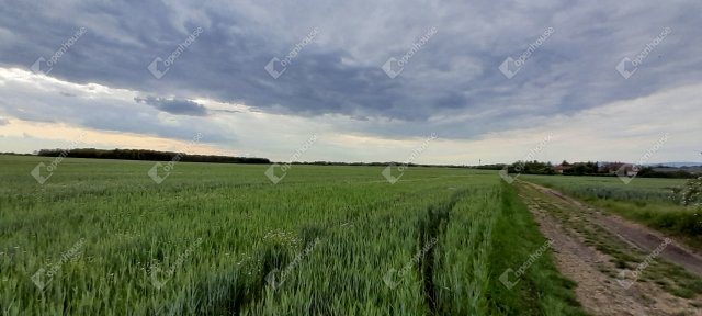 Eladó telek, Vámosgyörkön 6.5 M Ft / költözzbe.hu