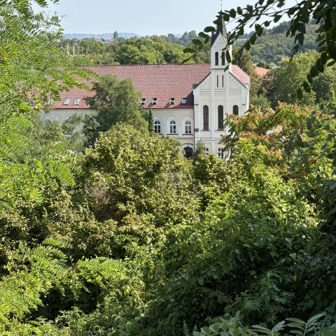 Eladó telek, Törökbálinton, Dózsa György utcában 59 M Ft