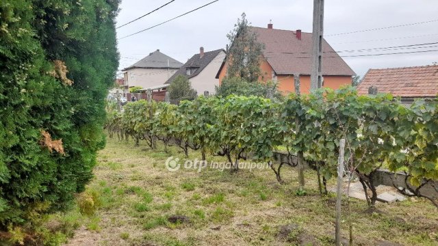 Eladó családi ház, Apcon 19 M Ft, 2 szobás