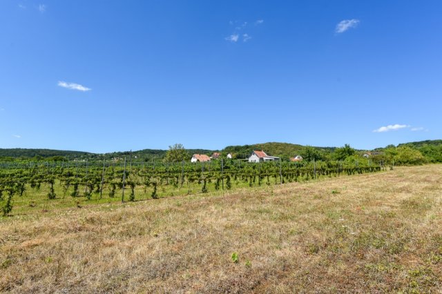 Eladó telek, Vászolyon 42 M Ft / költözzbe.hu