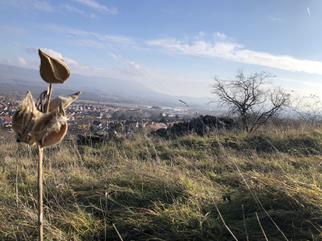 Eladó telek, Dorogon 4.8 M Ft / költözzbe.hu