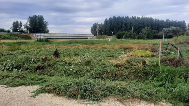 Eladó telek, Fertőszentmiklóson, Ifjúság téren 18 M Ft