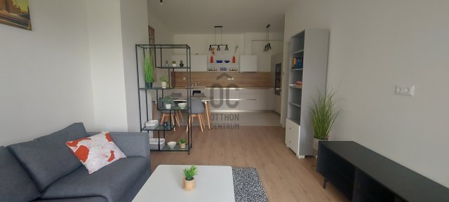 Kiadó téglalakás, albérlet, Budapesten, XI. kerületben