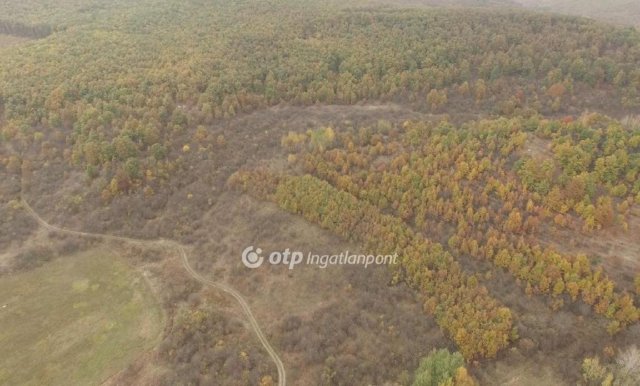 Eladó mezogazdasagi ingatlan, Felsőtárkányban 130 M Ft