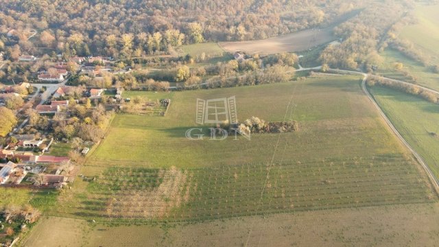 Eladó telek, Bakonykútiban 38 M Ft / költözzbe.hu