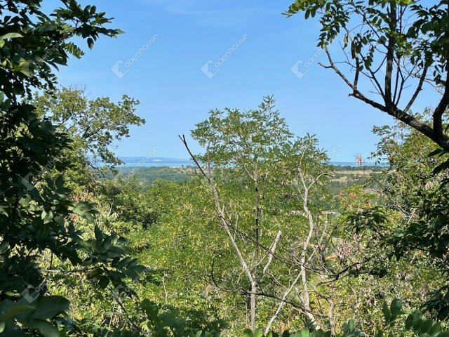 Eladó mezogazdasagi ingatlan, Balatonendréden 60 M Ft