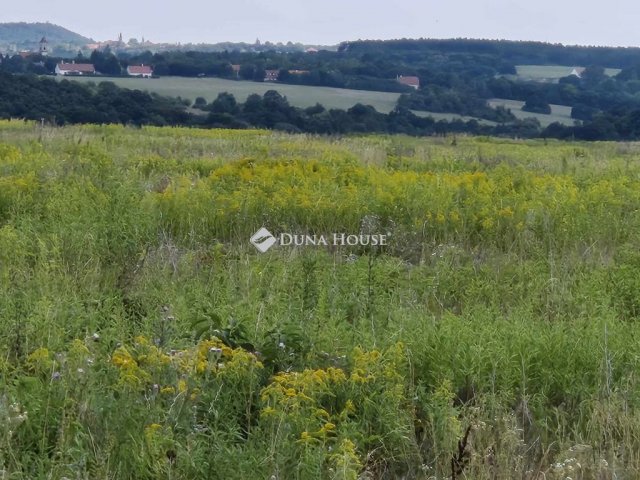 Eladó telek, Nagyvázsonyon 140 M Ft / költözzbe.hu