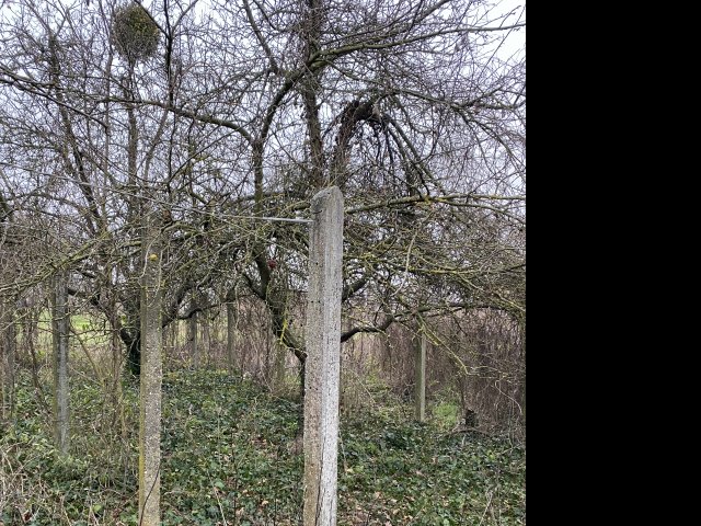 Eladó telek, Sárváron 5.5 M Ft / költözzbe.hu