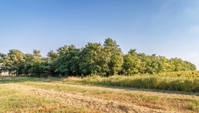 Eladó mezogazdasagi ingatlan, Lovasberényben 5.5 M Ft