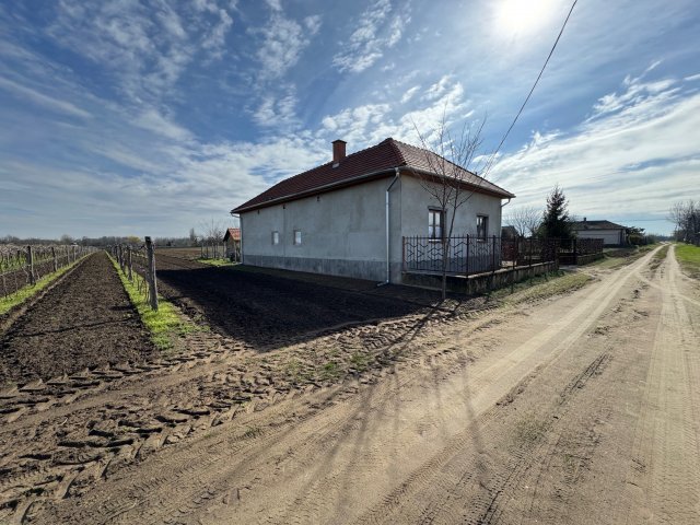 Eladó mezogazdasagi ingatlan, Tiszakürtön 44.9 M Ft, 2 szobás
