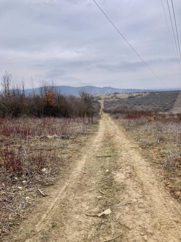 Eladó mezogazdasagi ingatlan, Pomázon 0.95 M Ft