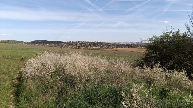 Eladó telek, Pilisborosjenőn, Kavics utcában 60 M Ft