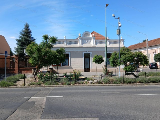 Eladó üzlethelyiség, Cegléden 199 M Ft, 8 szobás