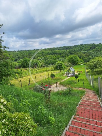 Eladó családi ház, Pogányon 29.9 M Ft, 1 szobás