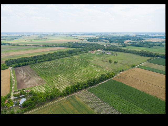 Eladó mezogazdasagi ingatlan, Kunadacson 209.9 M Ft, 4 szobás