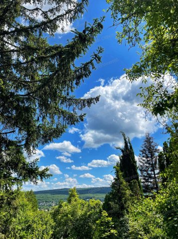 Eladó telek, Nagykovácsiban 54.9 M Ft, 4 szobás