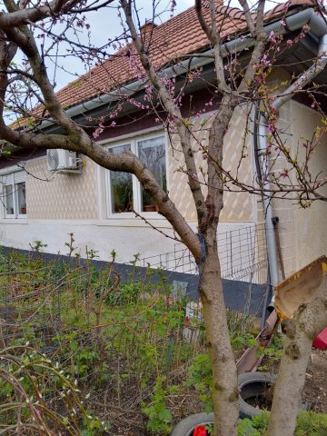 Eladó családi ház, Debrecenben 50 M Ft, 2 szobás