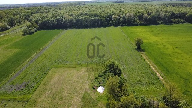 Eladó mezogazdasagi ingatlan, Mosonmagyaróváron 230 M Ft