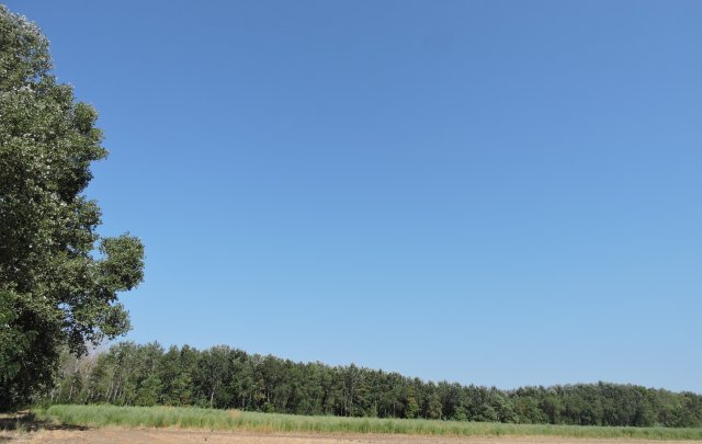 Eladó mezogazdasagi ingatlan, Kerekegyházán 17.5 M Ft