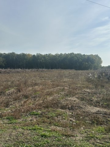 Eladó mezogazdasagi ingatlan, Kecskeméten 79.2 M Ft