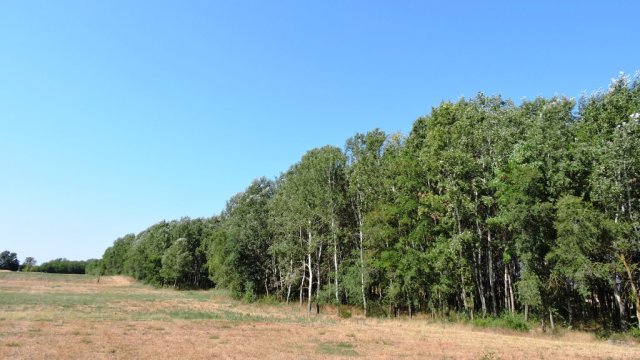 Eladó mezogazdasagi ingatlan, Kerekegyházán 17.5 M Ft