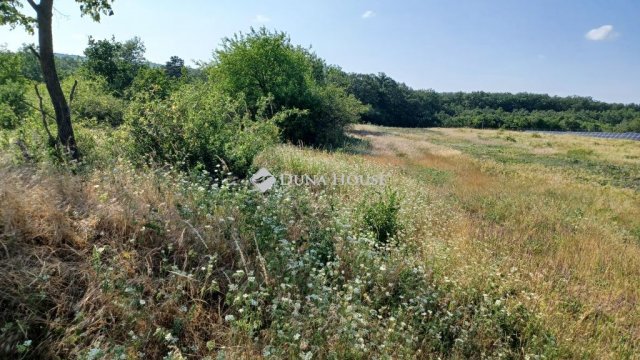 Eladó mezogazdasagi ingatlan, Balatonudvariban 7.9 M Ft
