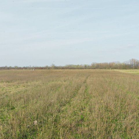 Eladó telek, Alsónémediben 315 M Ft / költözzbe.hu