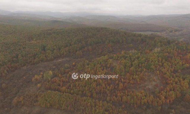 Eladó mezogazdasagi ingatlan, Felsőtárkányban 130 M Ft