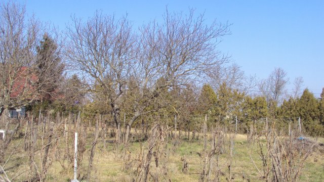 Eladó telek, Kőszárhegyen 8.9 M Ft / költözzbe.hu