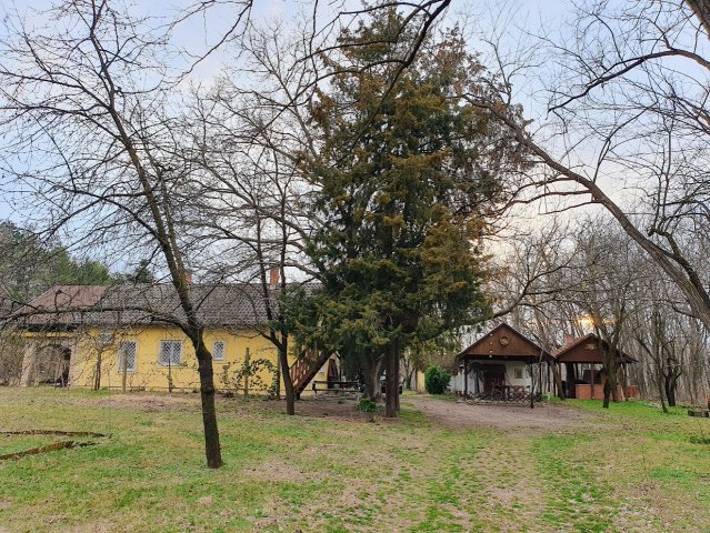 Eladó családi ház, Ruzsán, Fő úton 135 M Ft, 3+1 szobás