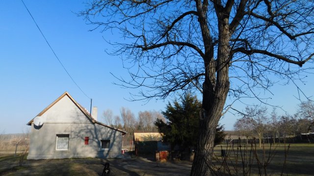 Eladó családi ház, Ásotthalmán 15.9 M Ft, 2 szobás