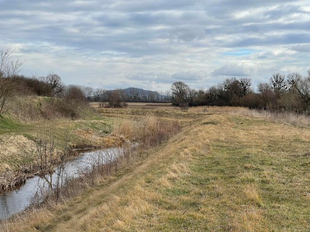 Eladó családi ház, Zalaszegváron 36 M Ft, 1 szobás