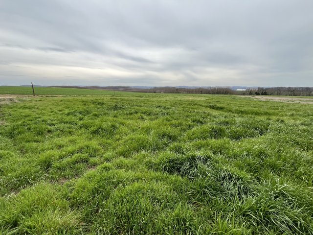 Eladó telek, Nemesbükön 6.5 M Ft / költözzbe.hu