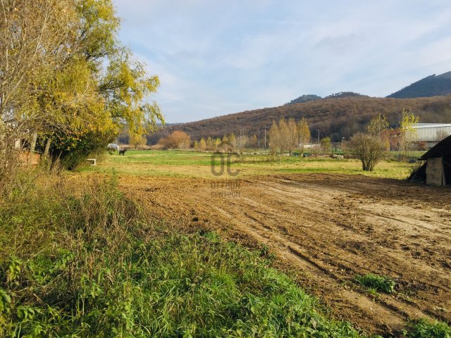 Eladó mezogazdasagi ingatlan, Budakeszin 149.9 M Ft