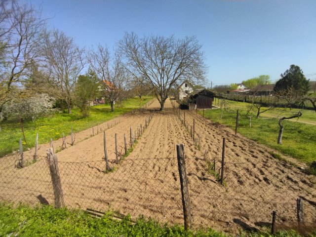 Eladó telek, Sülysápon 2.2 M Ft / költözzbe.hu