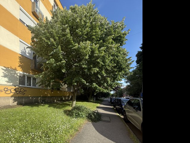 Eladó téglalakás, Pécsett 31.9 M Ft, 1 szobás