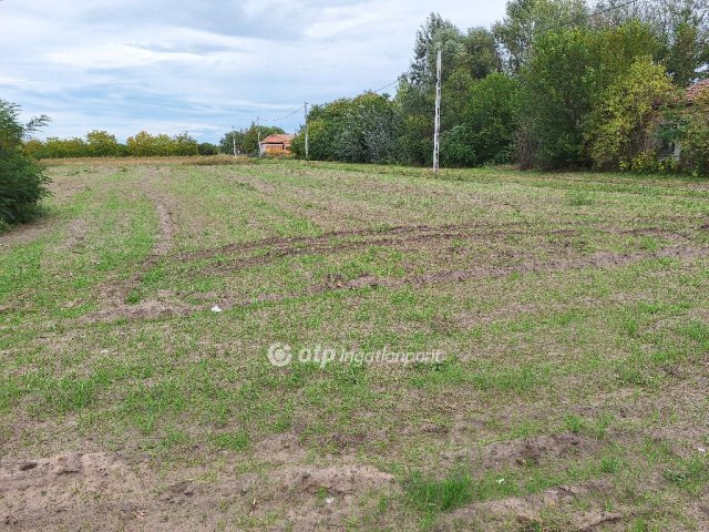 Eladó telek, Tiszakécskén 2.5 M Ft / költözzbe.hu