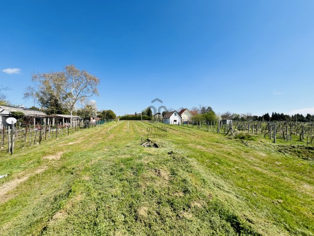 Eladó telek, Balatonszemesen 33 M Ft / költözzbe.hu