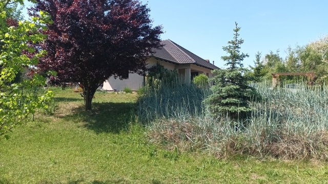 Kiadó családi ház, albérlet, Kecskeméten 550 E Ft / hó