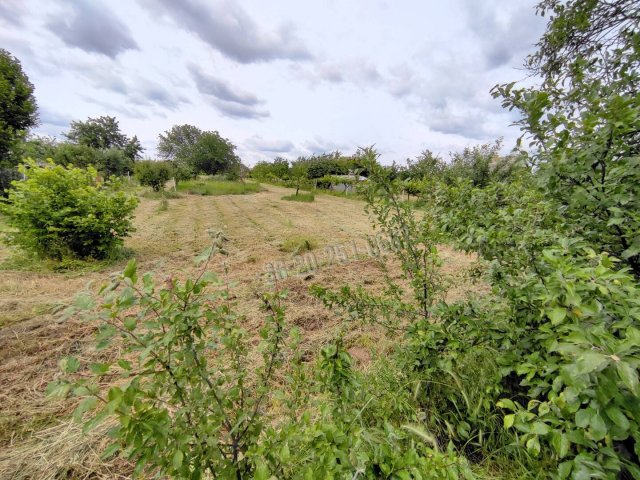 Eladó telek, Mohácson 4.2 M Ft / költözzbe.hu