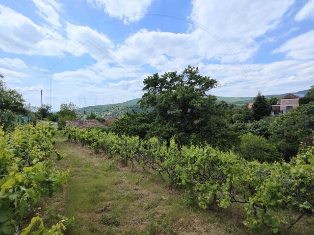 Eladó telek, Pécsett 19.5 M Ft / költözzbe.hu