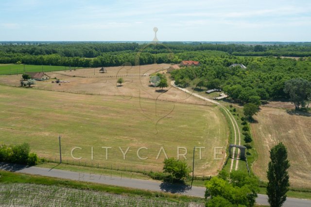 Eladó családi ház, Kecskeméten 295.793 M Ft, 14 szobás