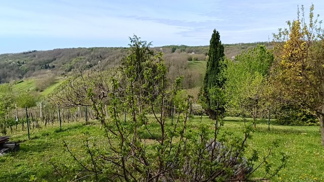 Eladó családi ház, Homokkomáromon 49 M Ft, 3 szobás
