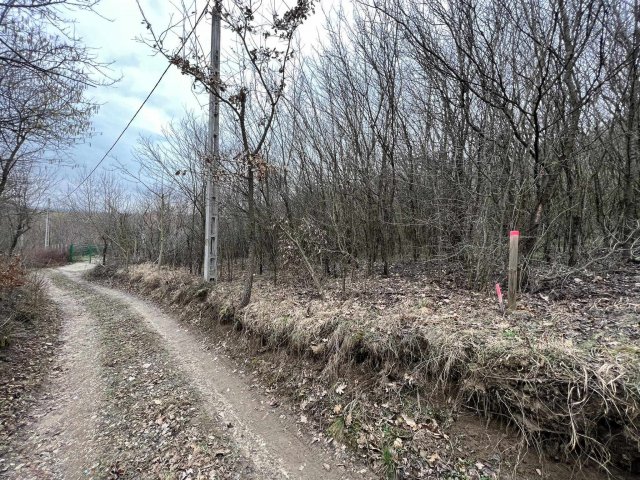 Eladó telek, Balatonendréden 1.99 M Ft / költözzbe.hu