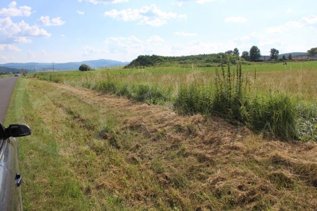 Eladó telek, Sajószentpéteren 22.9 M Ft / költözzbe.hu