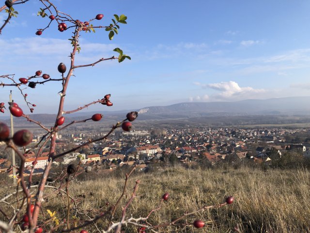 Eladó telek, Dorogon 4.8 M Ft / költözzbe.hu