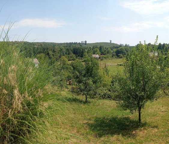 Eladó telek, Nagykanizsán 4.25 M Ft / költözzbe.hu