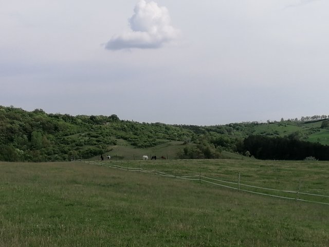 Eladó telek, Csabdiban 89.9 M Ft / költözzbe.hu